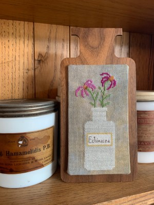 Perennial Potions - Echinacea