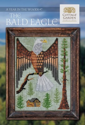 Year In The Woods 7 - The Bald Eagle