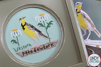 Western Meadowlark Bird Crush Club