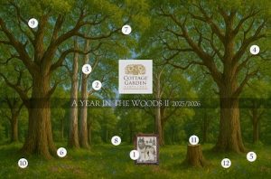 Nieuwe club: A Year in the Woods 2
