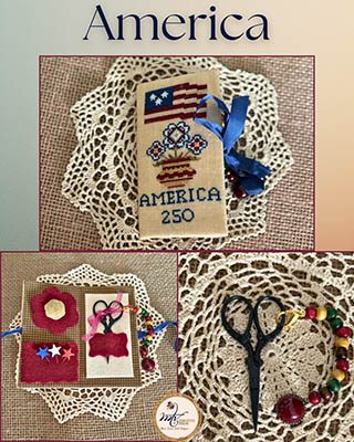 America Needle Case