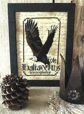 Eagle - Spirits Of The Woods