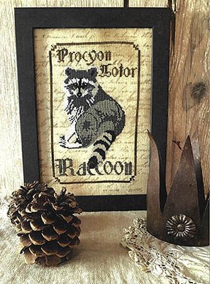 Raccoon - Spirits Of The Woods